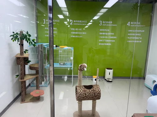 松山湖智能寵物用品暢銷全球，單品銷售額突破千萬元